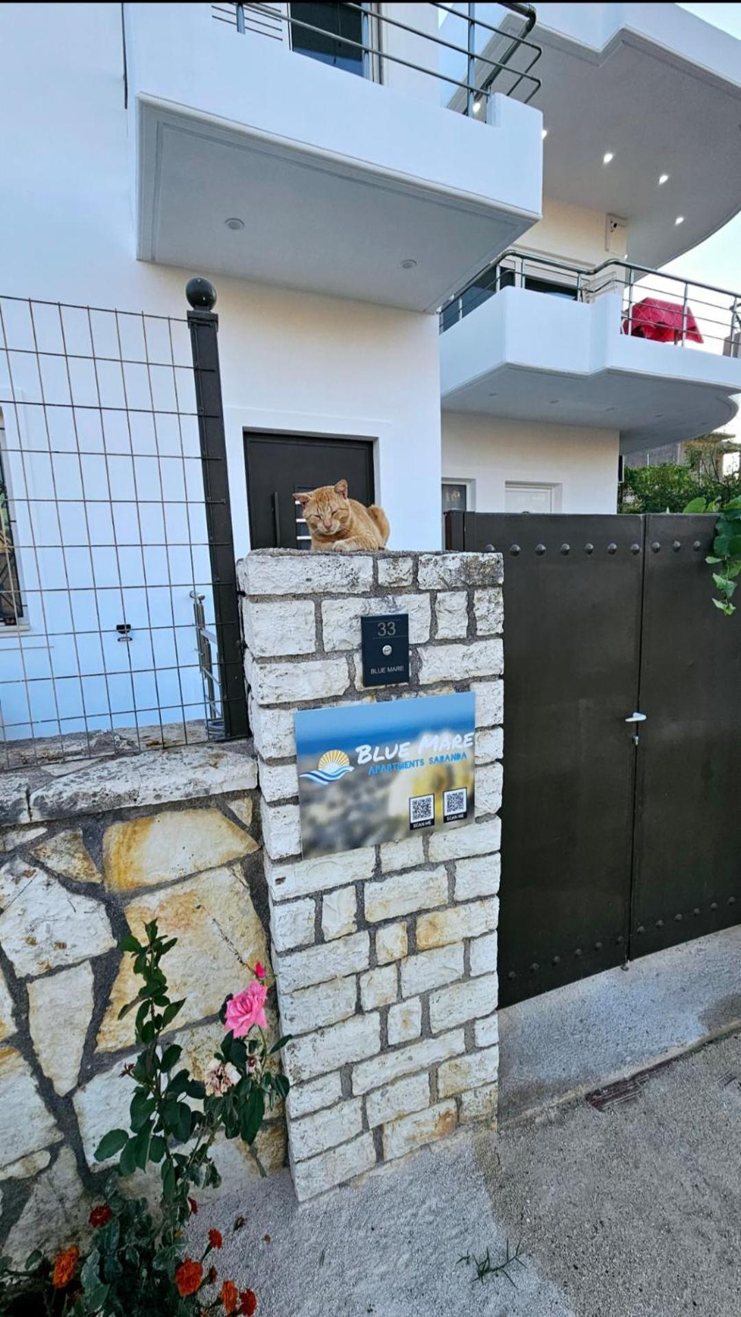 Blue Mare Apartments Sarandë Exterior foto